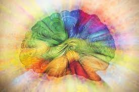 Multicolor brain.