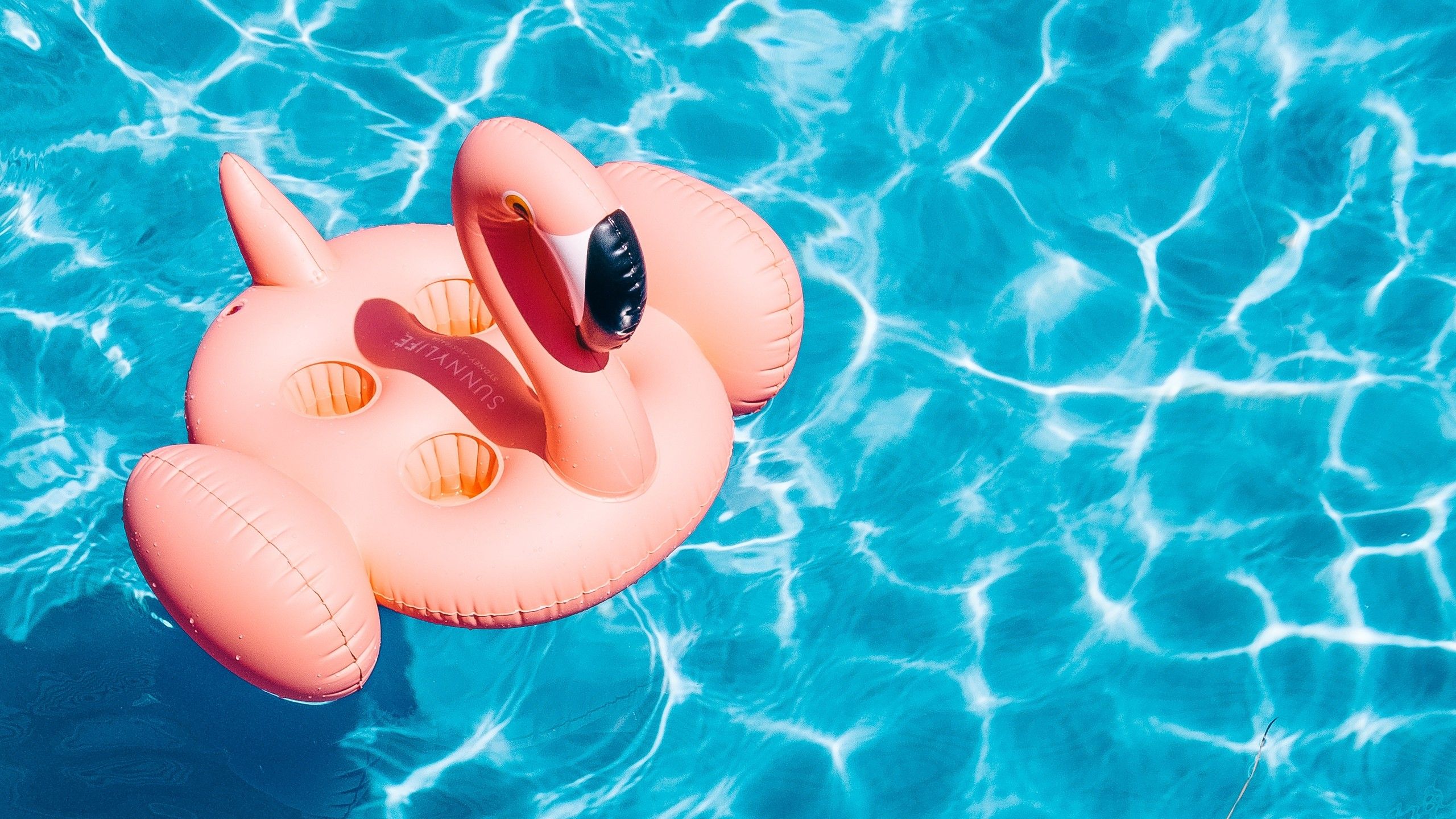 Photo of a pink flamingo floatie in a swimming pool