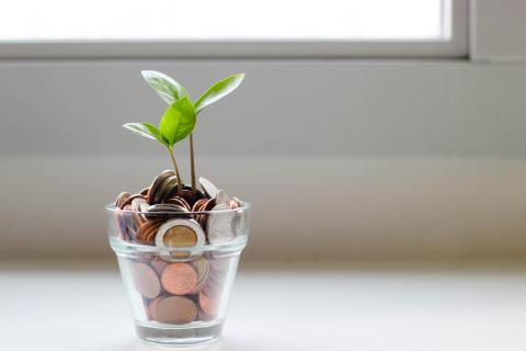 Small glass of change with seedling growing