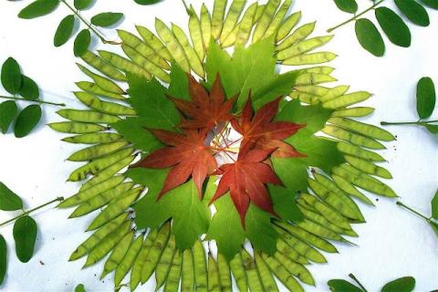 Mandala made from leaves.