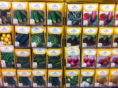 Various vegetable seed packets.