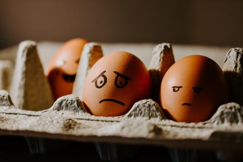 worried eggs