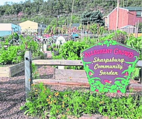 Photo of Sharpsburg Community Garden.