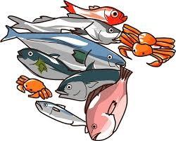 Clip art of various fish and crustaceans.