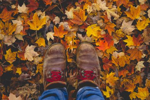 boots on leaves