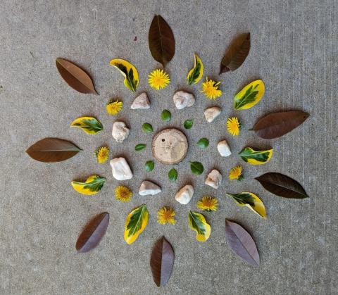 Photo of mandala made with leaves, petals, and other natural materials
