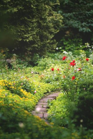 gardening