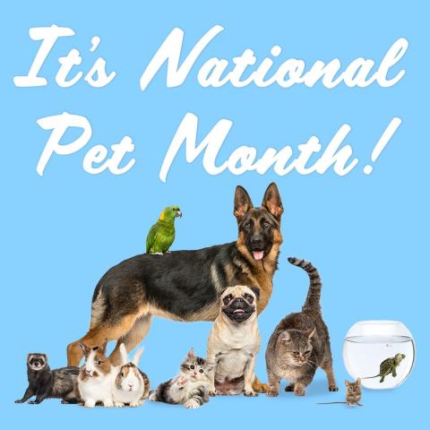National Pet Month logo and photos of pets