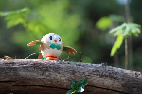 A photo of a toy Rowlet sitting on a branch.