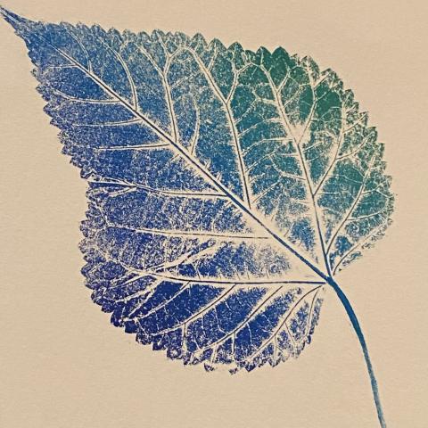 A blue and green print made from a real leaf.