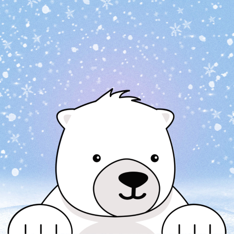 Polar bear with snow background.