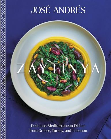 Zentinya book cover