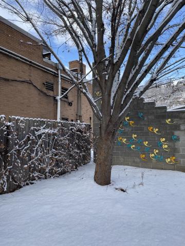 Photo of our courtyard covered in snow