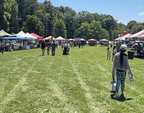 Photo of last year's Fox Chapel Day with various tents in park