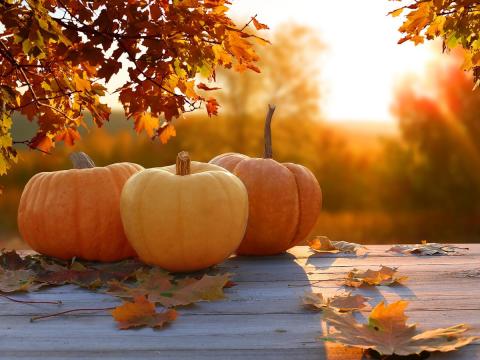 A photo of warm sun shining on 3 pumpkins and some fall leaves.