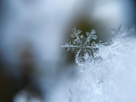 A magnified photo of a snowflake.