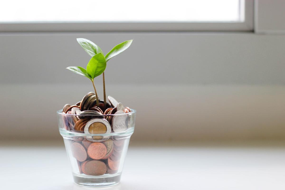 Small glass of change with seedling growing