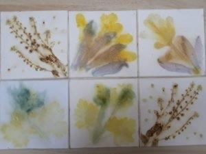 Various prints of plants.