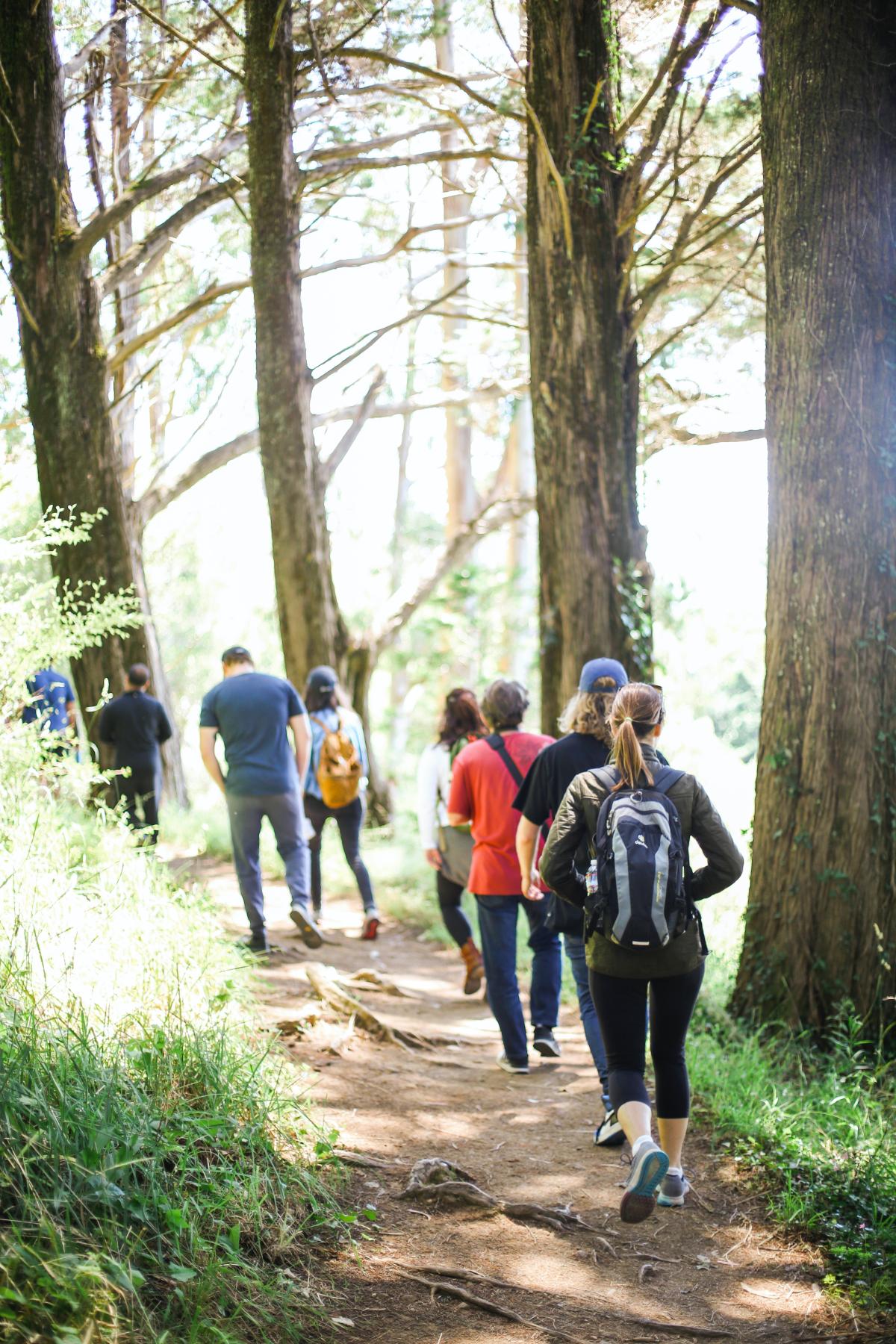 people walking