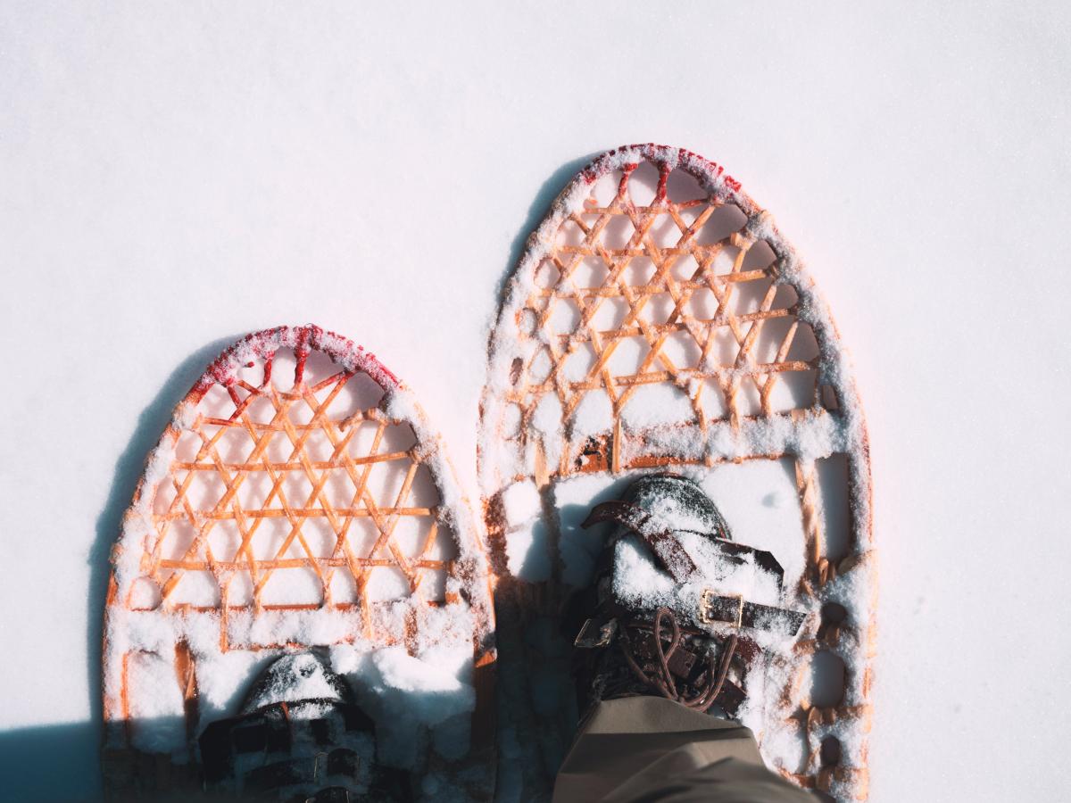 pair of snowshoes