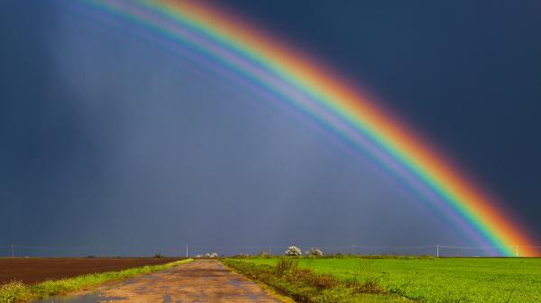 rainbow photo