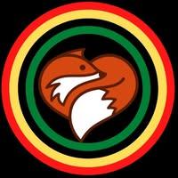 Fox curled into art surrounded by green, black, yellow, and red circles